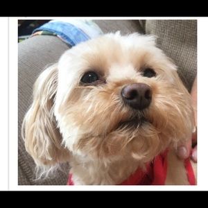 Meet your Posher, Aileen